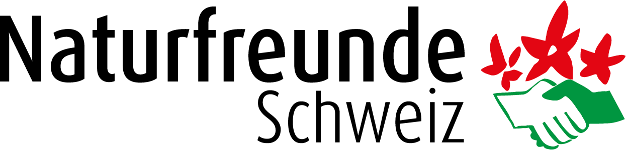 nf logo de