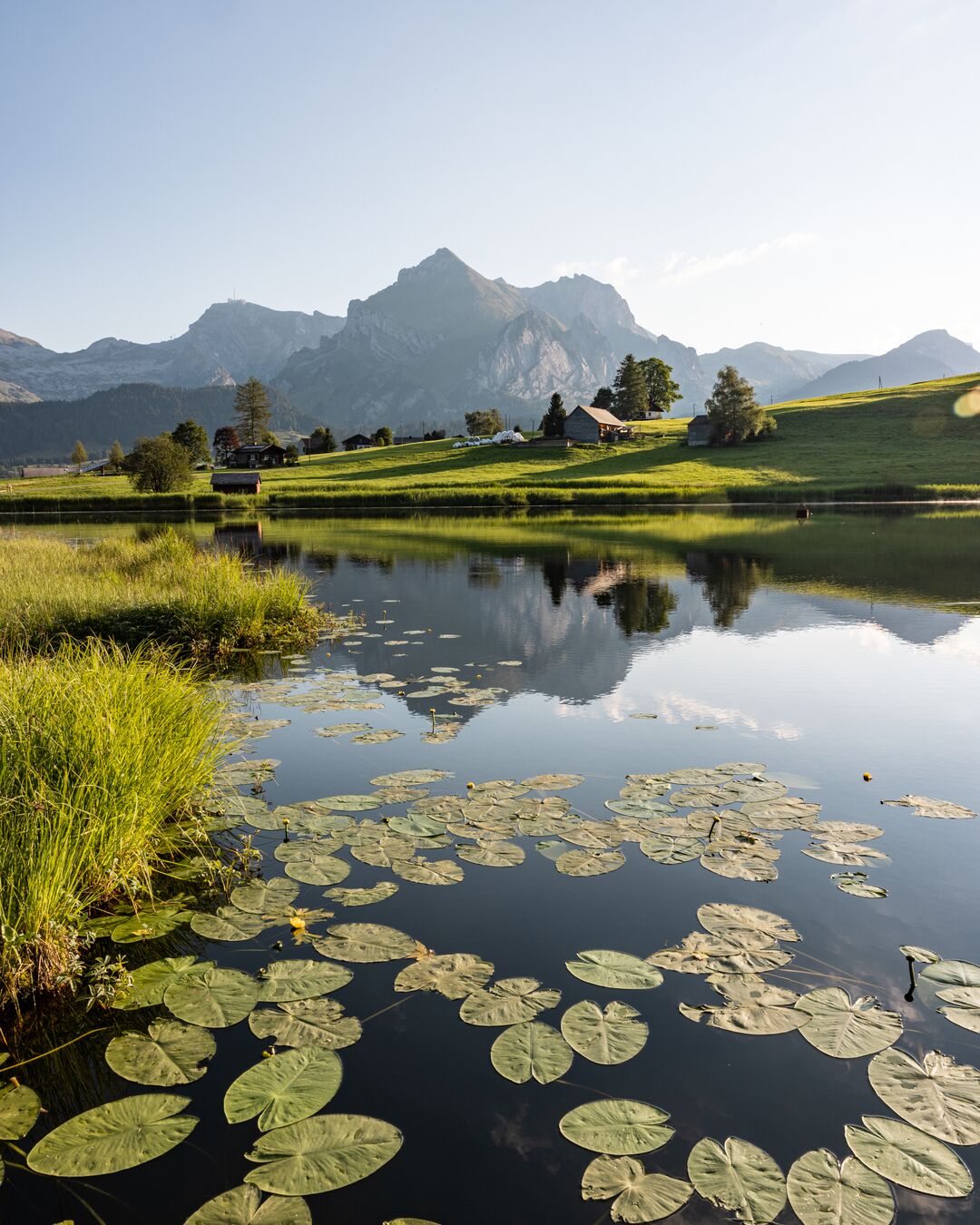 Instaformat_4_5-Toggenburg_-_Landschaft_zwischen_Churfirsten_und_Alpstein_-_Sommer_2022_12.jpg