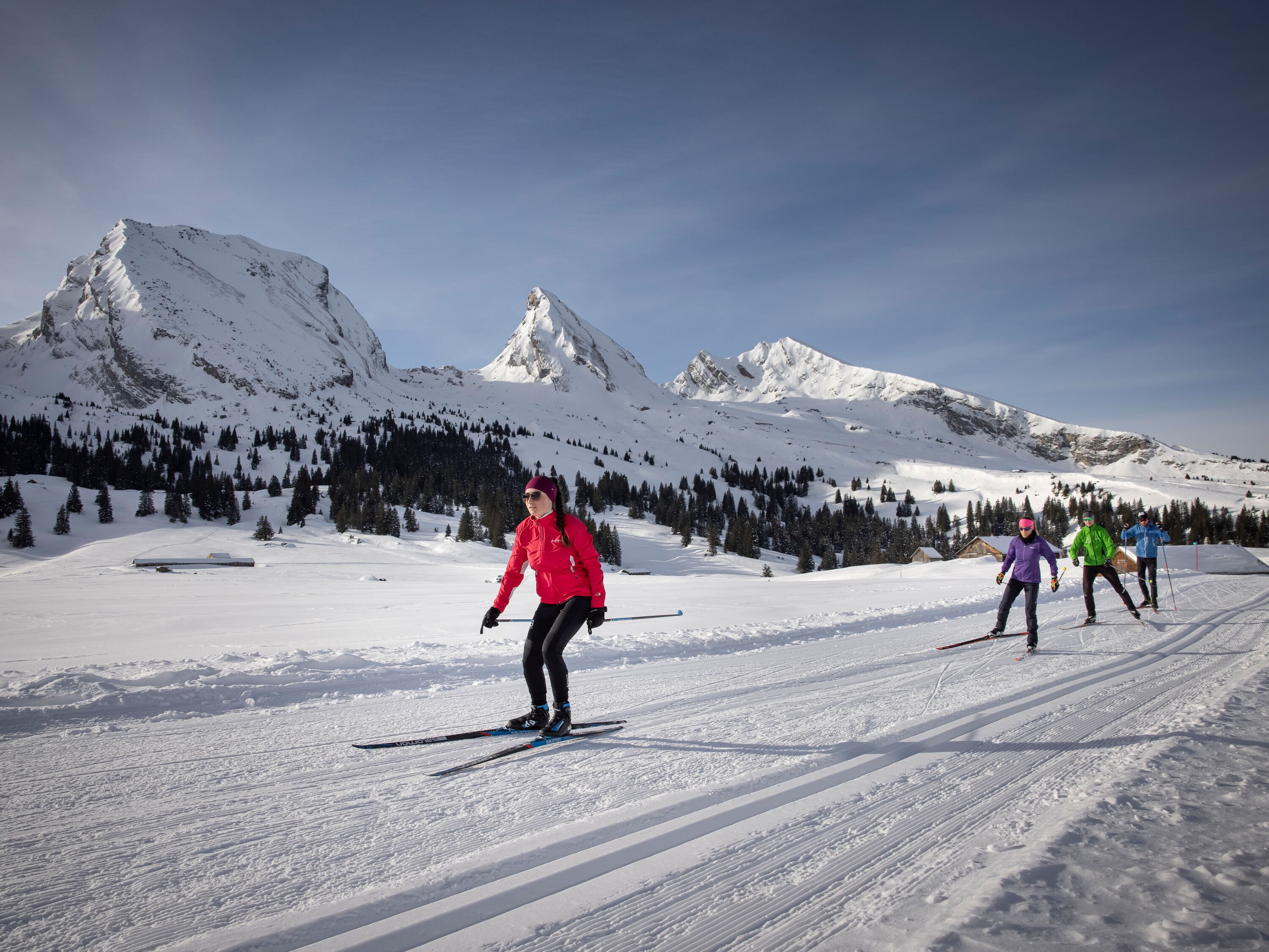 Computerformat_4_3-Toggenburg_-_Langlauf_-_Panoramaloipe_Sellamatt_-_2021_02.jpg